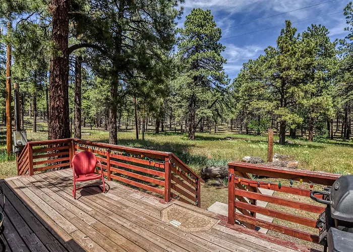 The Ponderosa Scenic Forest Views Fire Pit Bbq Pet-friendly Now With Wi-fi Parks