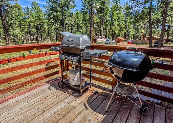 The Ponderosa Scenic Forest Views Fire Pit Bbq Pet-friendly Now With Wi-fi * Parks