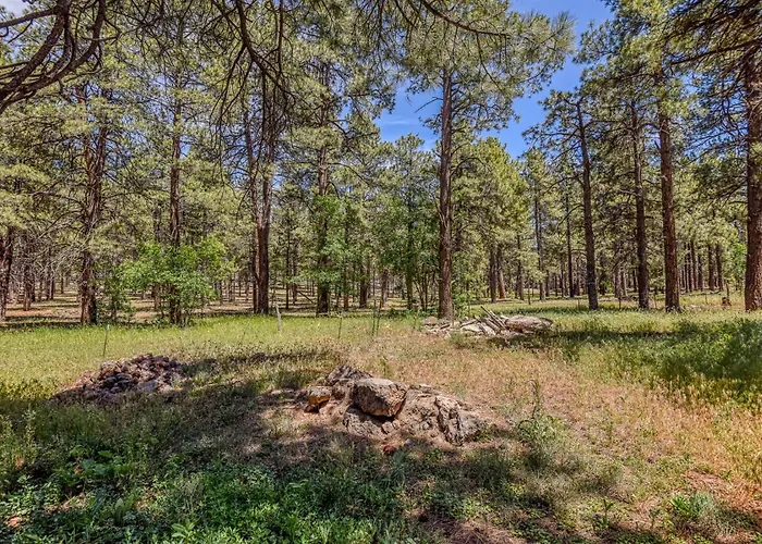 Holiday home The Ponderosa Scenic Forest Views Fire Pit Bbq Pet-friendly Now With Wi-fi