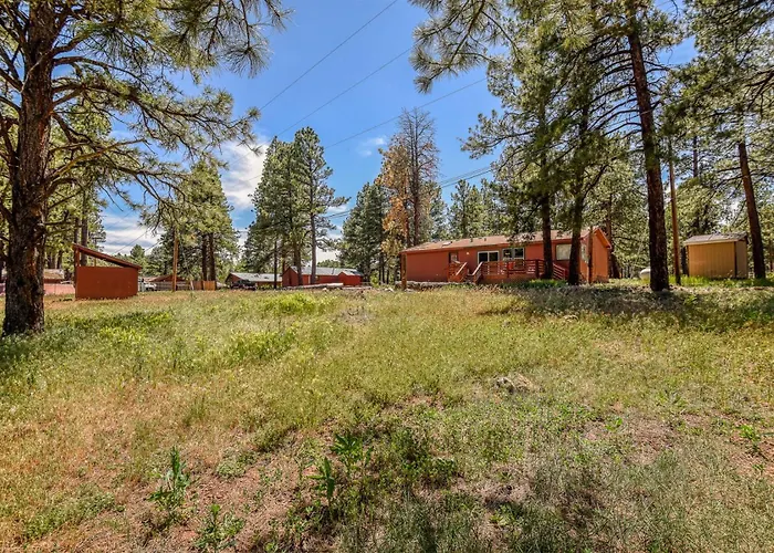 Holiday home The Ponderosa Scenic Forest Views Fire Pit Bbq Pet-friendly Now With Wi-fi Parks
