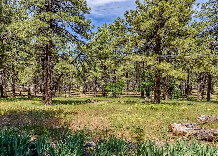 The Ponderosa Scenic Forest Views Fire Pit Bbq Pet-friendly Now With Wi-fi Parks
